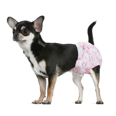 Dono pañales para perro femenino con ajuste seguro para evitar fugas