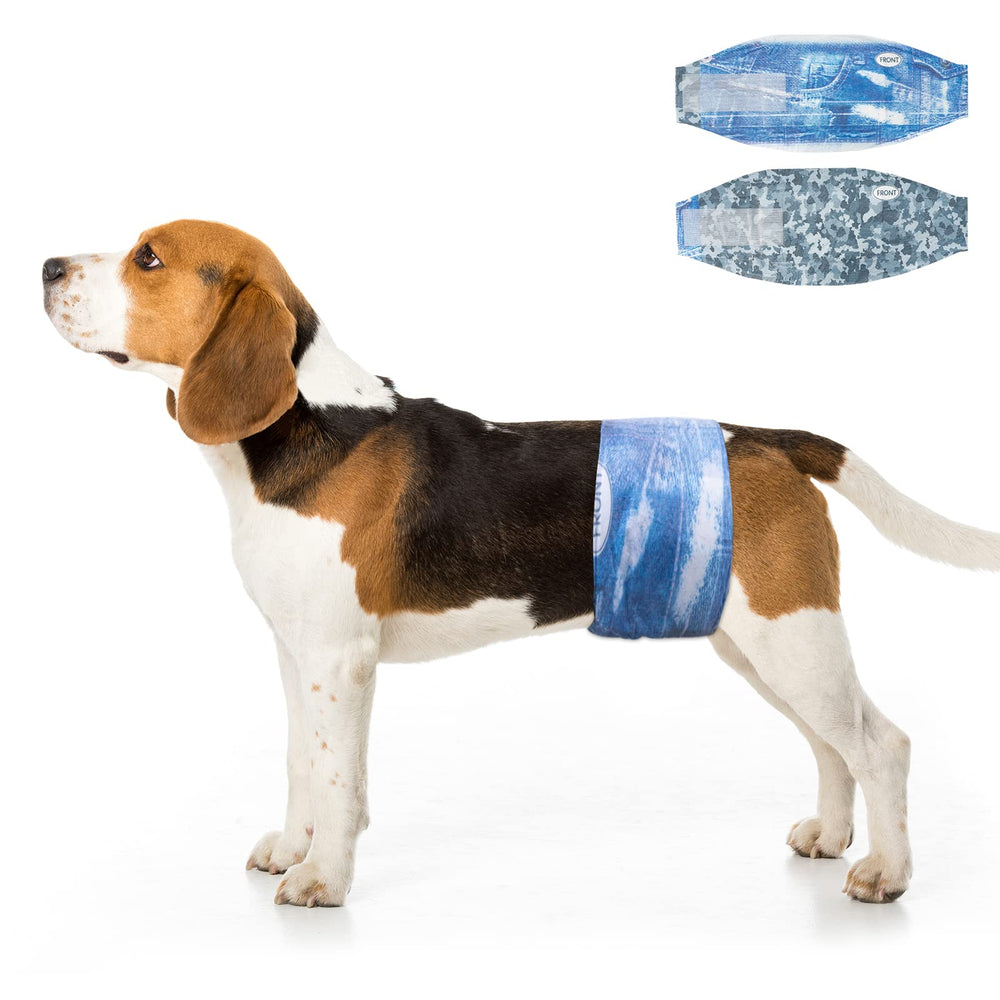 Pañales Dono para perro macho con ajuste cómodo que evita fugas durante paseos.
