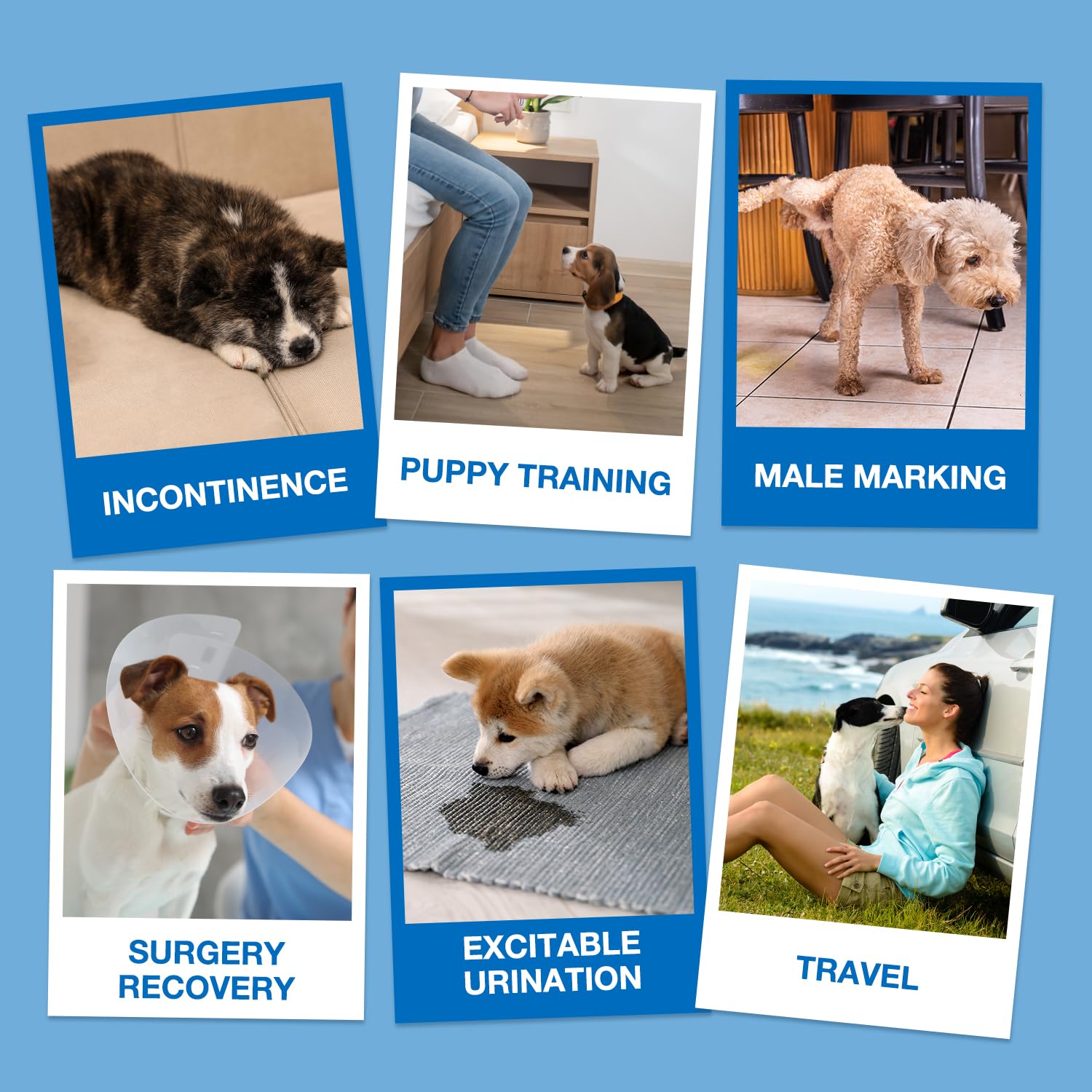 Piel seca gracias a capas transpirables Dono para perros activos.