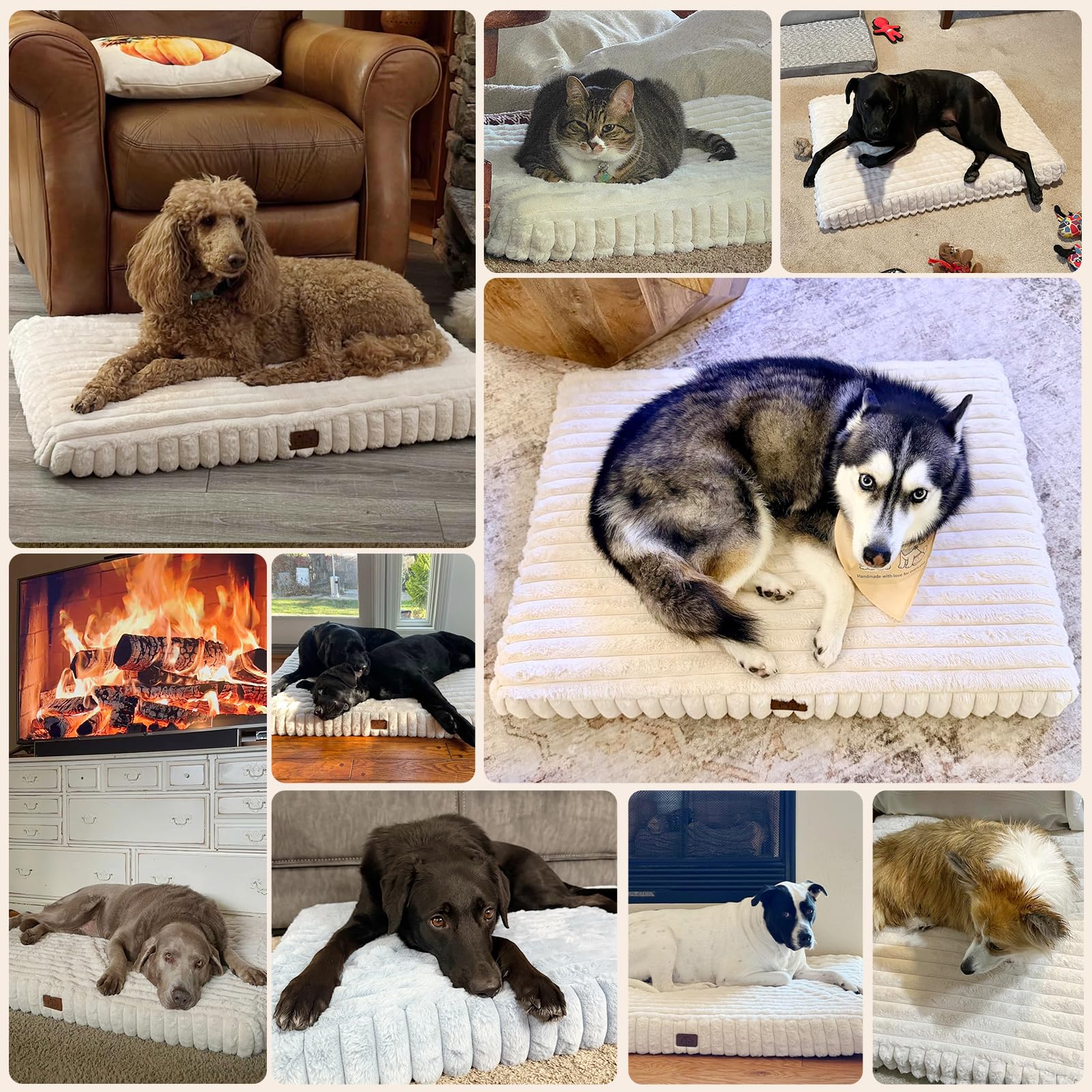 Cama ortopédica DOPEDIO para perro grande, usada en sala de estar