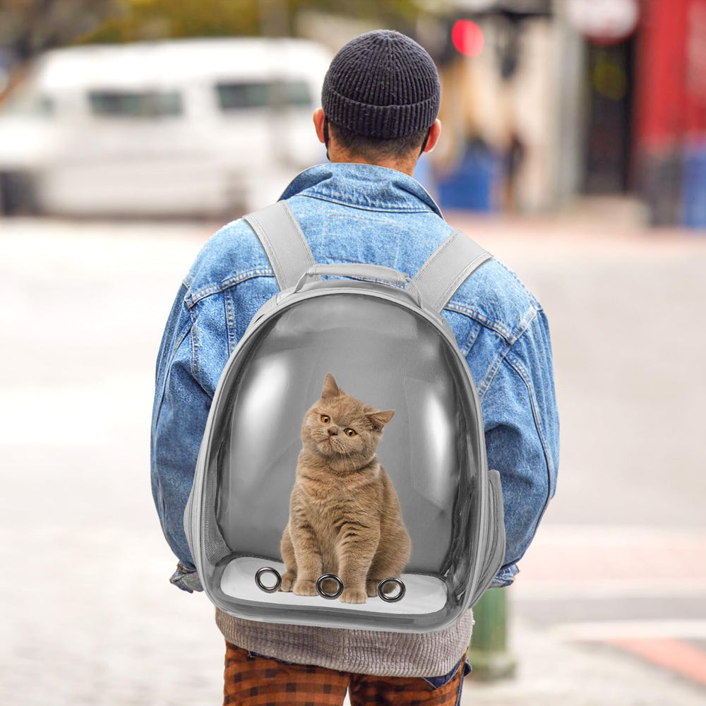 Dorphy actividades al aire libre: caminar y senderismo con tu mascota