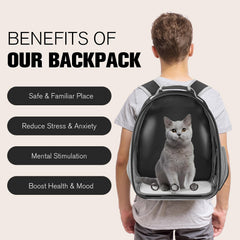 Diseño ergonómico Dorphy que alivia espalda y hombros