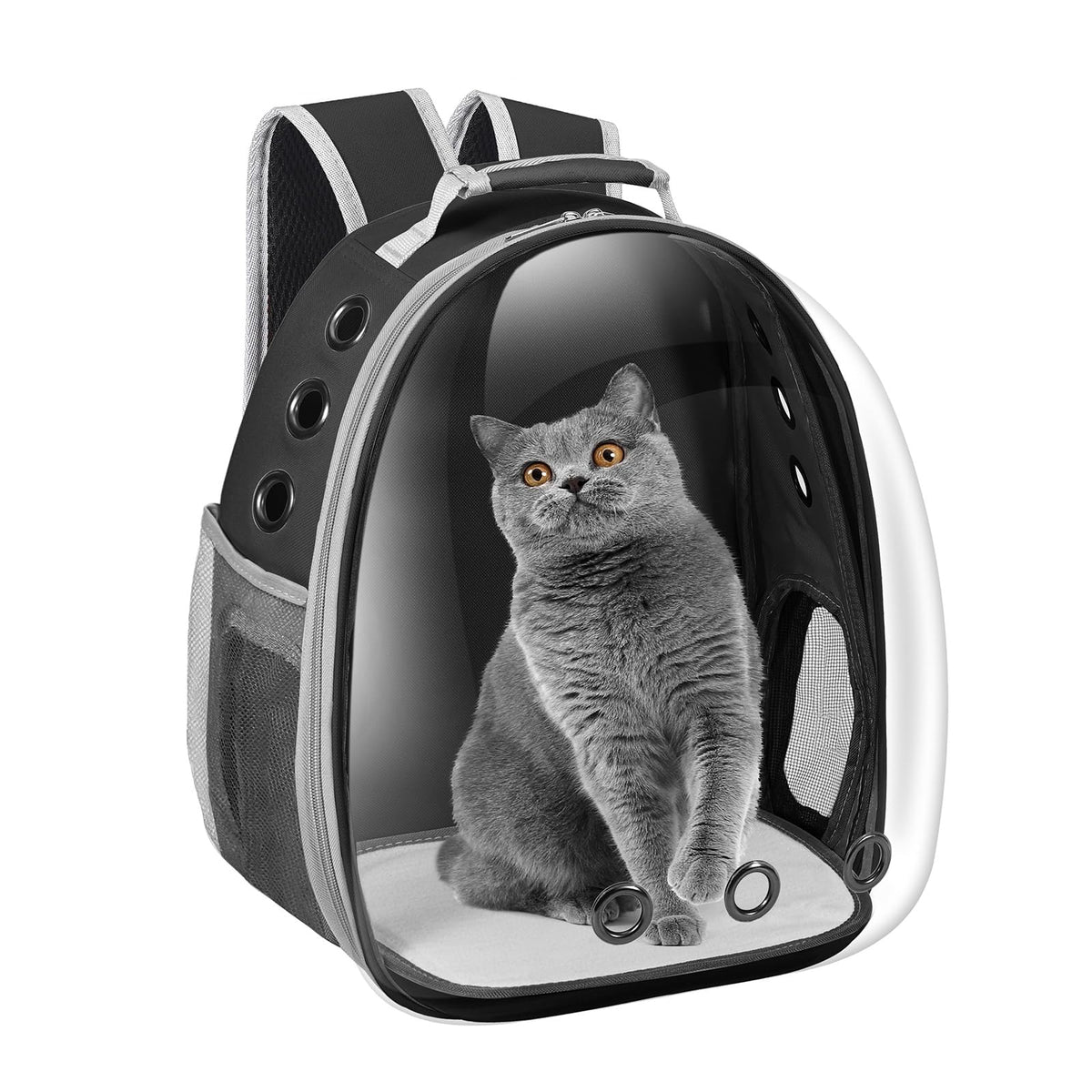 Mochila Dorphy con ventana de cápsula para gatos, facilita viajar