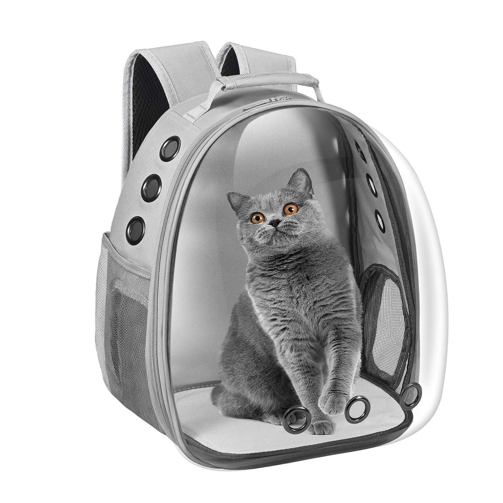 Dorphy cápsula espacial con ventana, ideal para tranquilizar a la mascota durante viajes