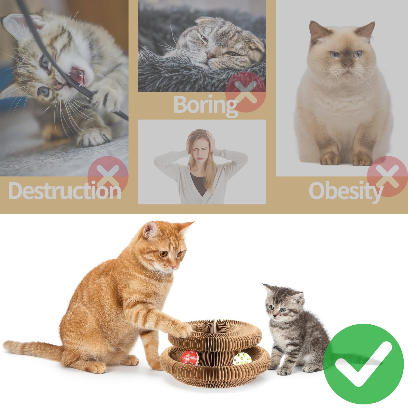 Dosanlues Magic Organ: durabilidad y seguridad con materiales sin toxinas.