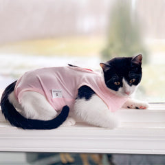 DOTON mono de recuperación para gato rosa, dorso suave para reposo