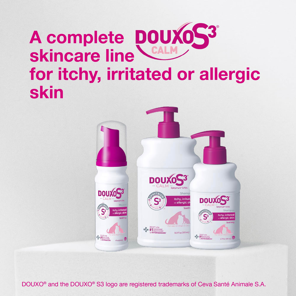 Douxo S3 Calm Mousse: sin enjuague para uso rápido.