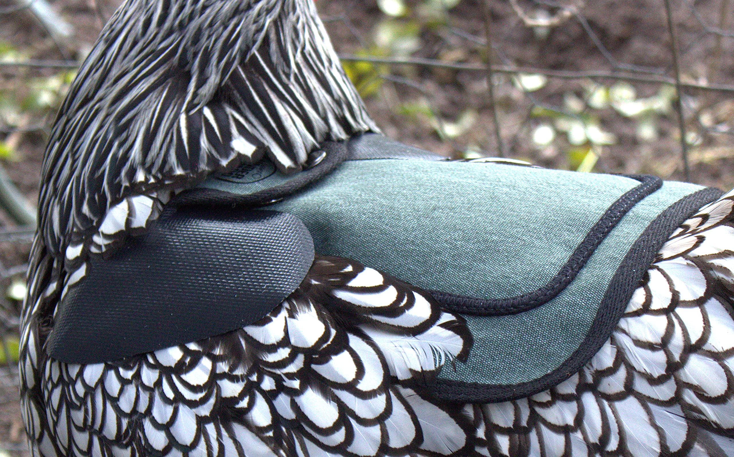 down under outdoors protección para aves con plumas dañadas azul verdoso