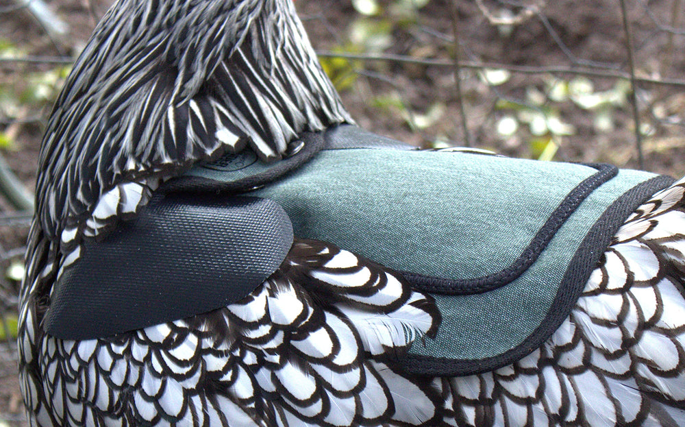 down under outdoors protección para aves con plumas dañadas azul verdoso