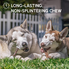 Contribuye al cuidado dental natural de perros, Downtown Pet Supply.