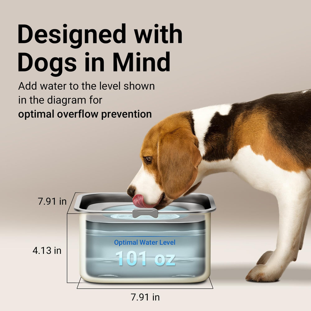 DownyPaws acero inoxidable es duradero y apto para lavavajillas
