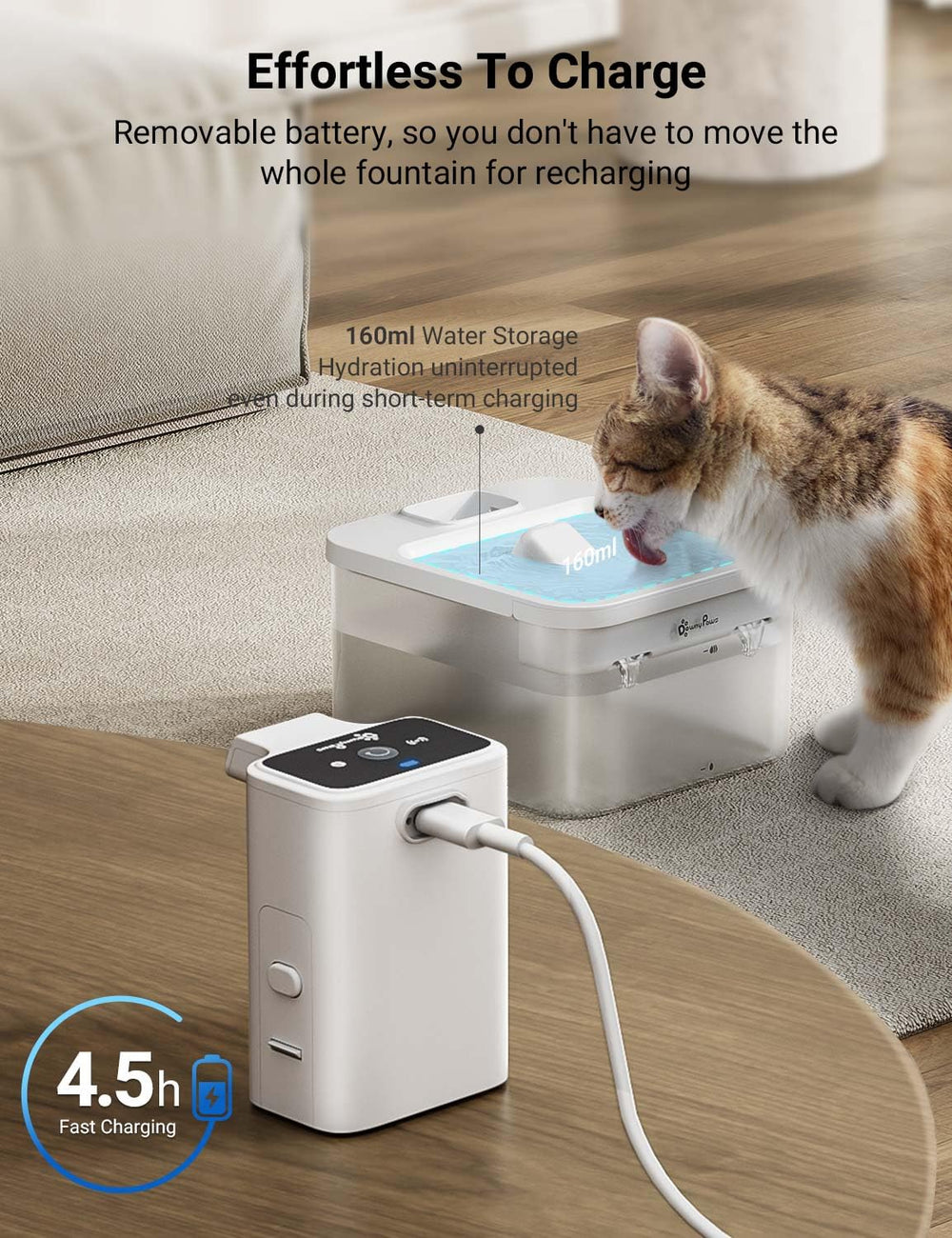DownyPaws facil limpiar componentes desmontables permiten higiene rápida y sin esfuerzo.