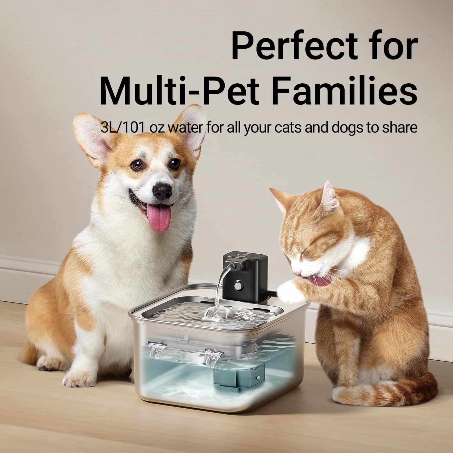 Diseño desmontable de DownyPaws para limpieza fácil