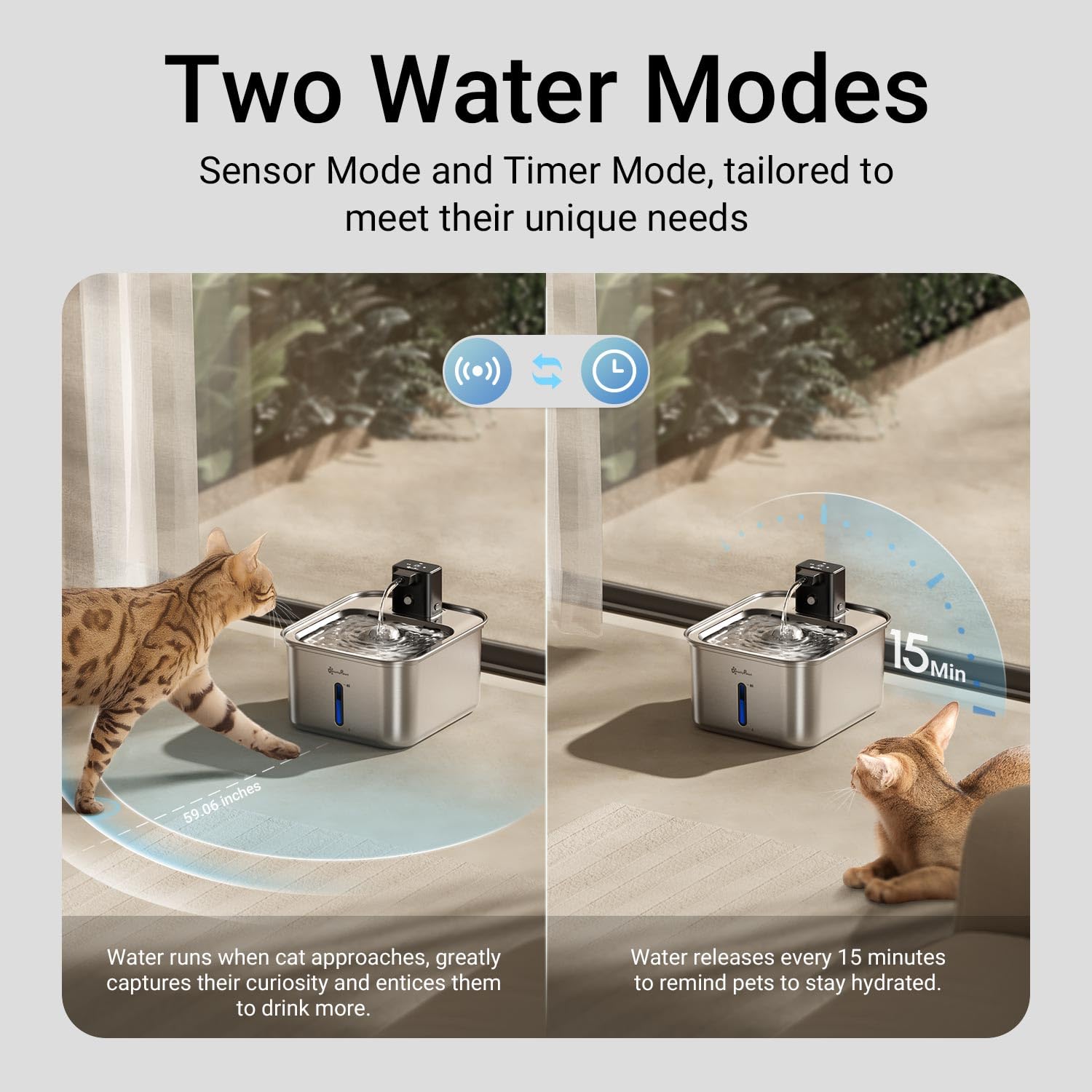 Sensor de movimiento de DownyPaws, fomenta beber agua