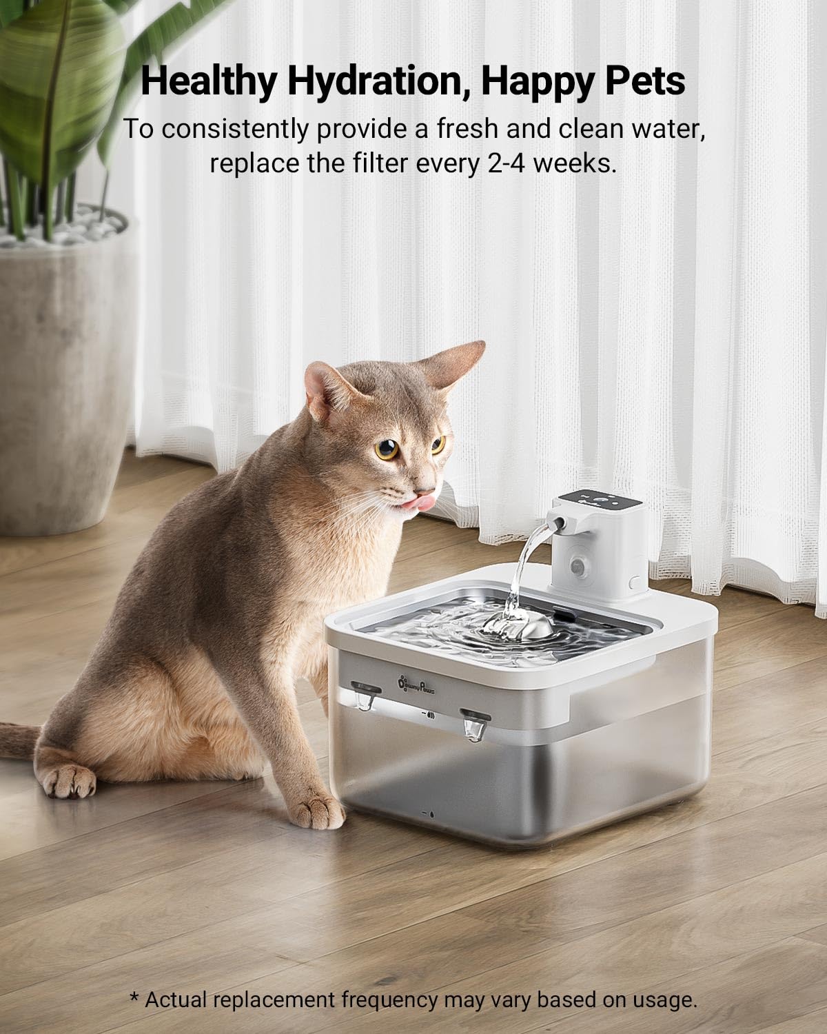 DownyPaws cambio de filtros cada dos semanas para mantenimiento recomendado.