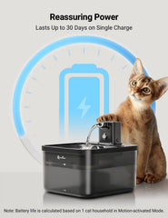 DownyPaws modos temporizador y sensor para estimular la hidratación