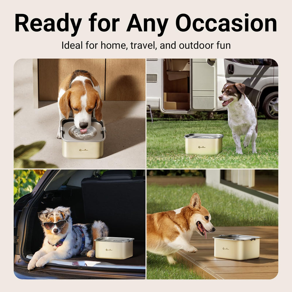 DownyPaws uso seguro en casa, coche o exteriores para perros activos