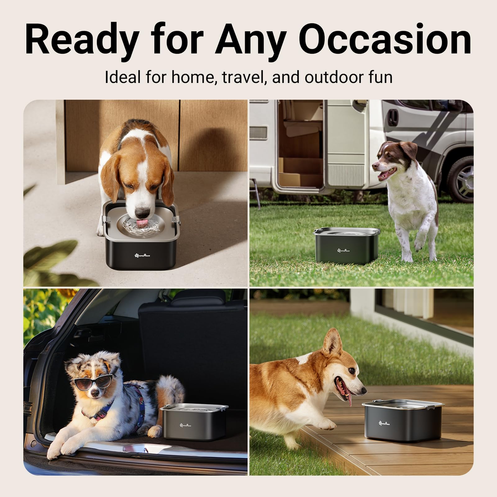 DownyPaws versión en negro aporta estilo discreto y combina con distintos ambientes.