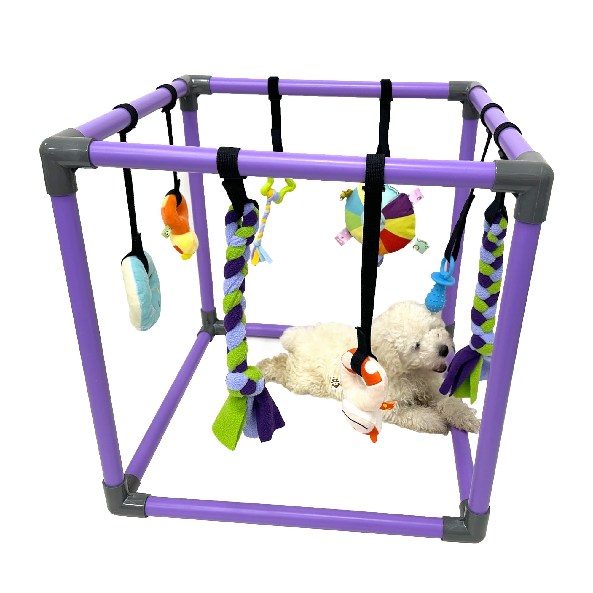 DOZZOPET Gimnasio de juego para cachorros con juguetes colgantes para estimulación mental