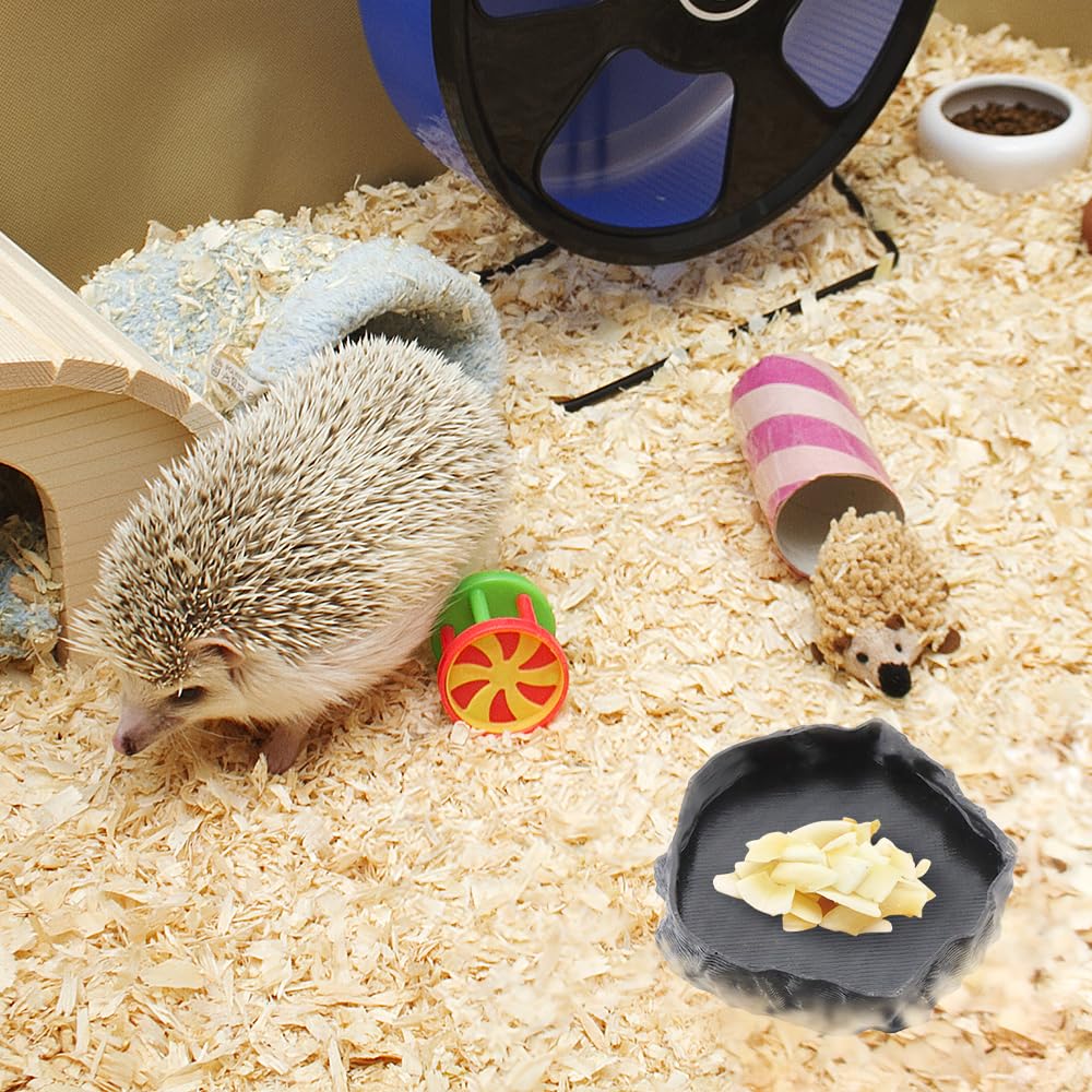 DQITJ cuencos aptos para cangrejo ermitaño, tortuga, caracol y milpiés