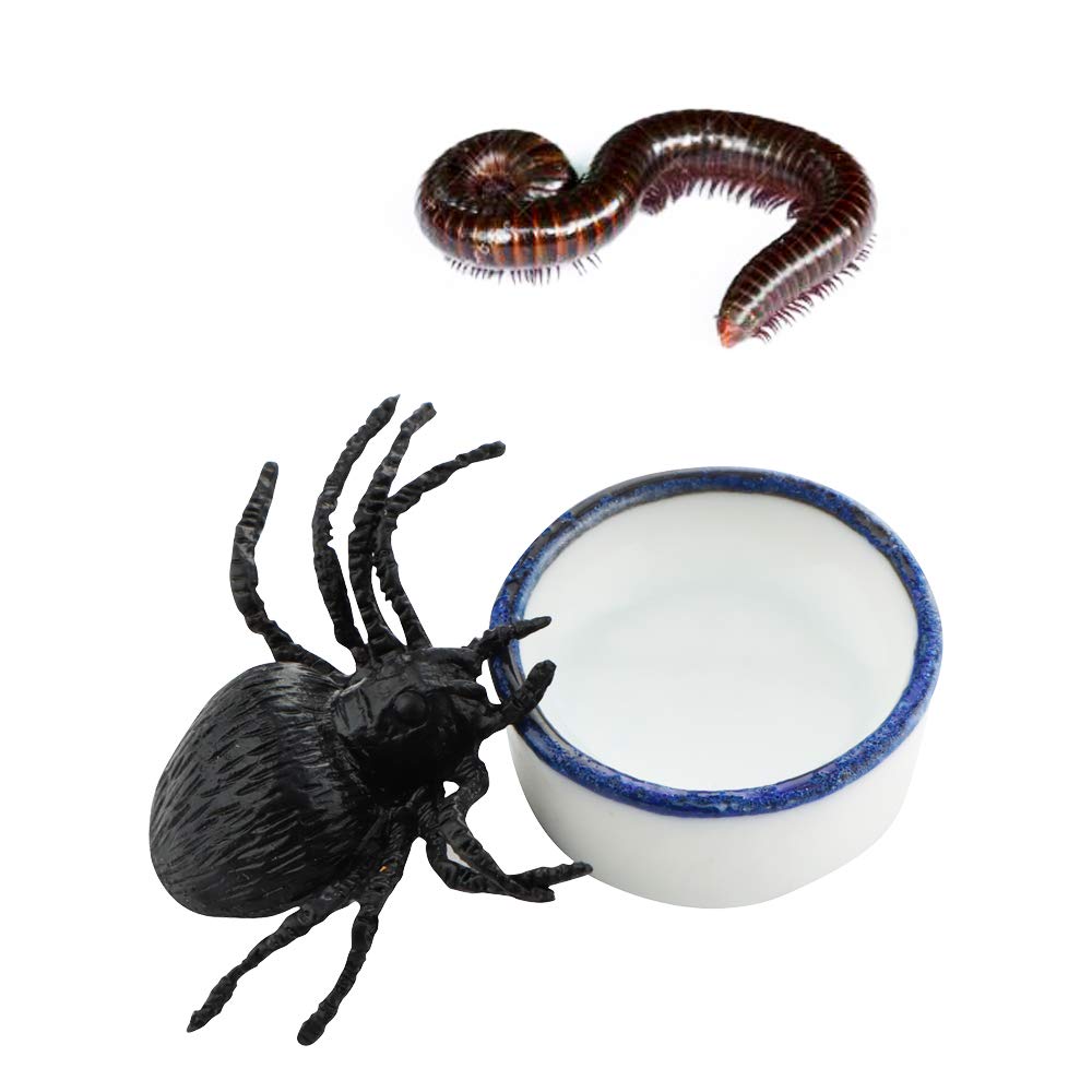 DQITJ cuenco ceramico mini para reptil pequeno, base estable evita vuelcos