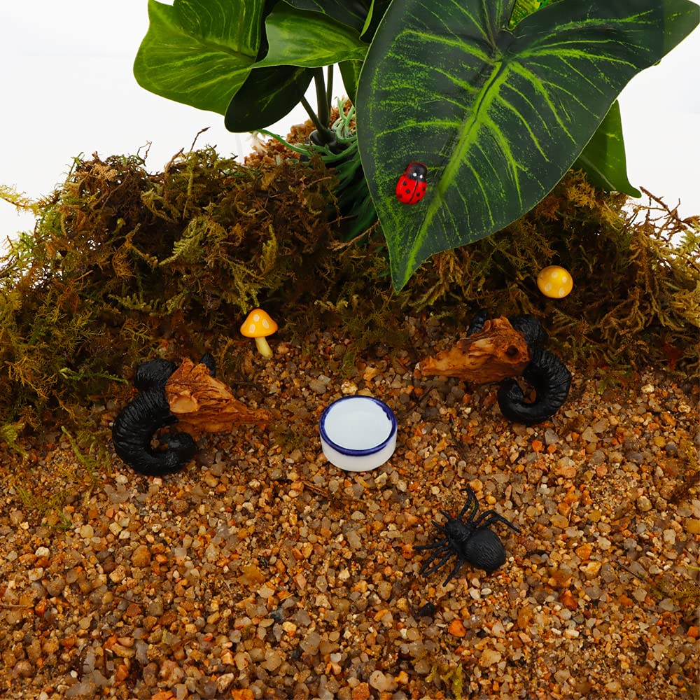 DQITJ cuenco ceramico mini para tarantula, superficie no porosa facilita la limpieza