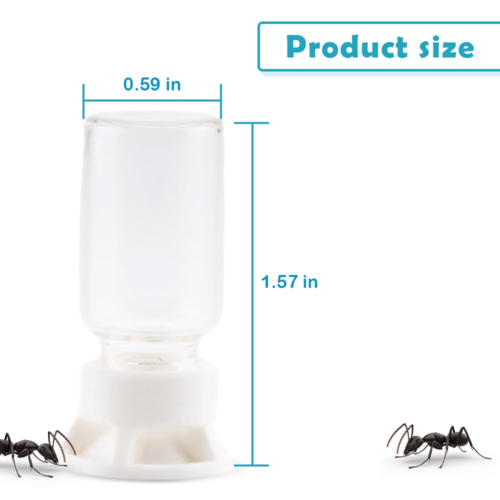 DQITJ diseno-compacto, perfecto para tarantula y otros insectos pequenos