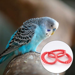 dqitj enlaces plásticos para aves, conexión rápida y segura