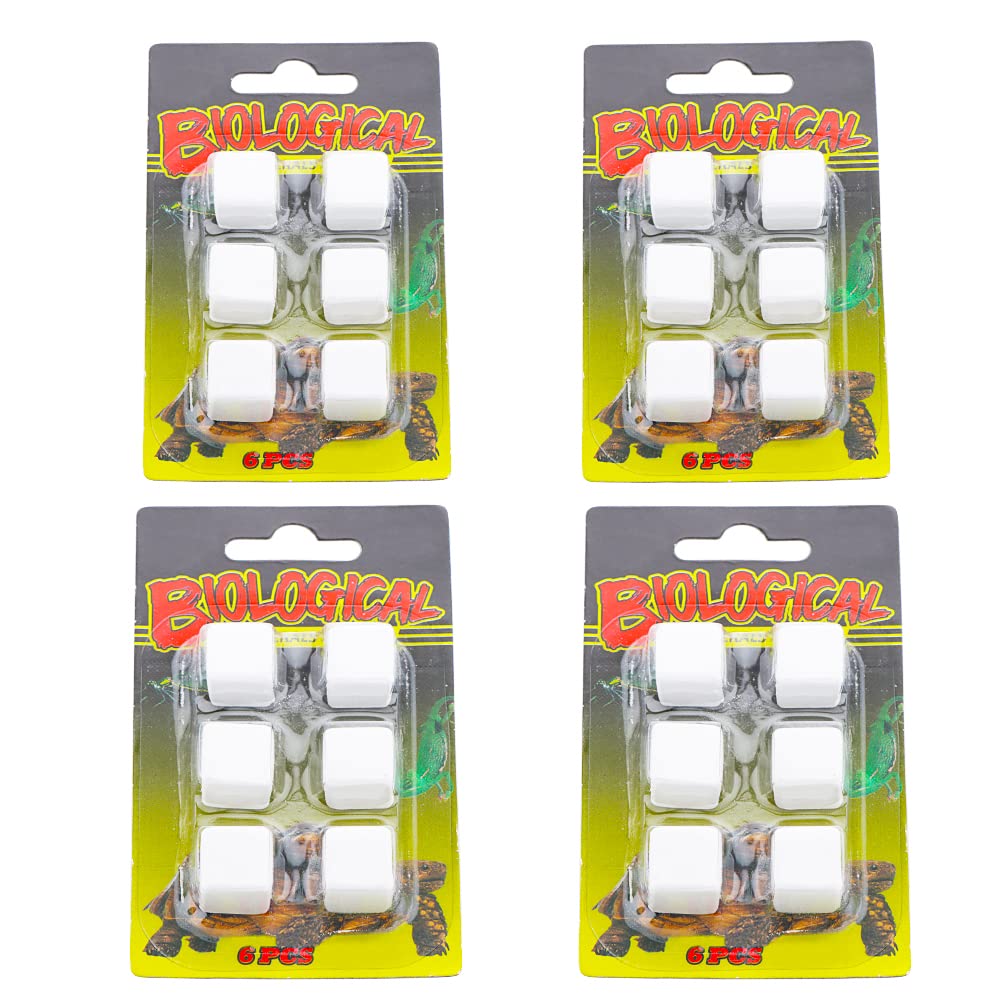 Piedras de calcio DQITJ para reptiles, fáciles de disolver en agua para consumo directo.