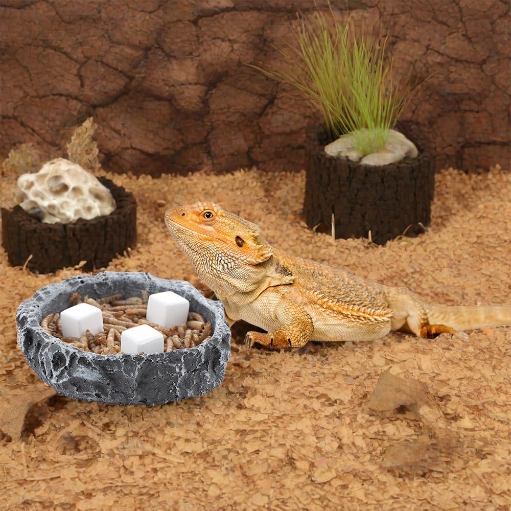 Piedras de calcio DQITJ para ranas, uso en comedero o agua.