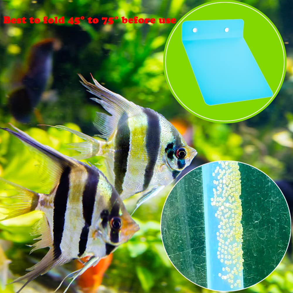 DQITJ superficie de desove para cría de peces, adecuada para acuario tropical.