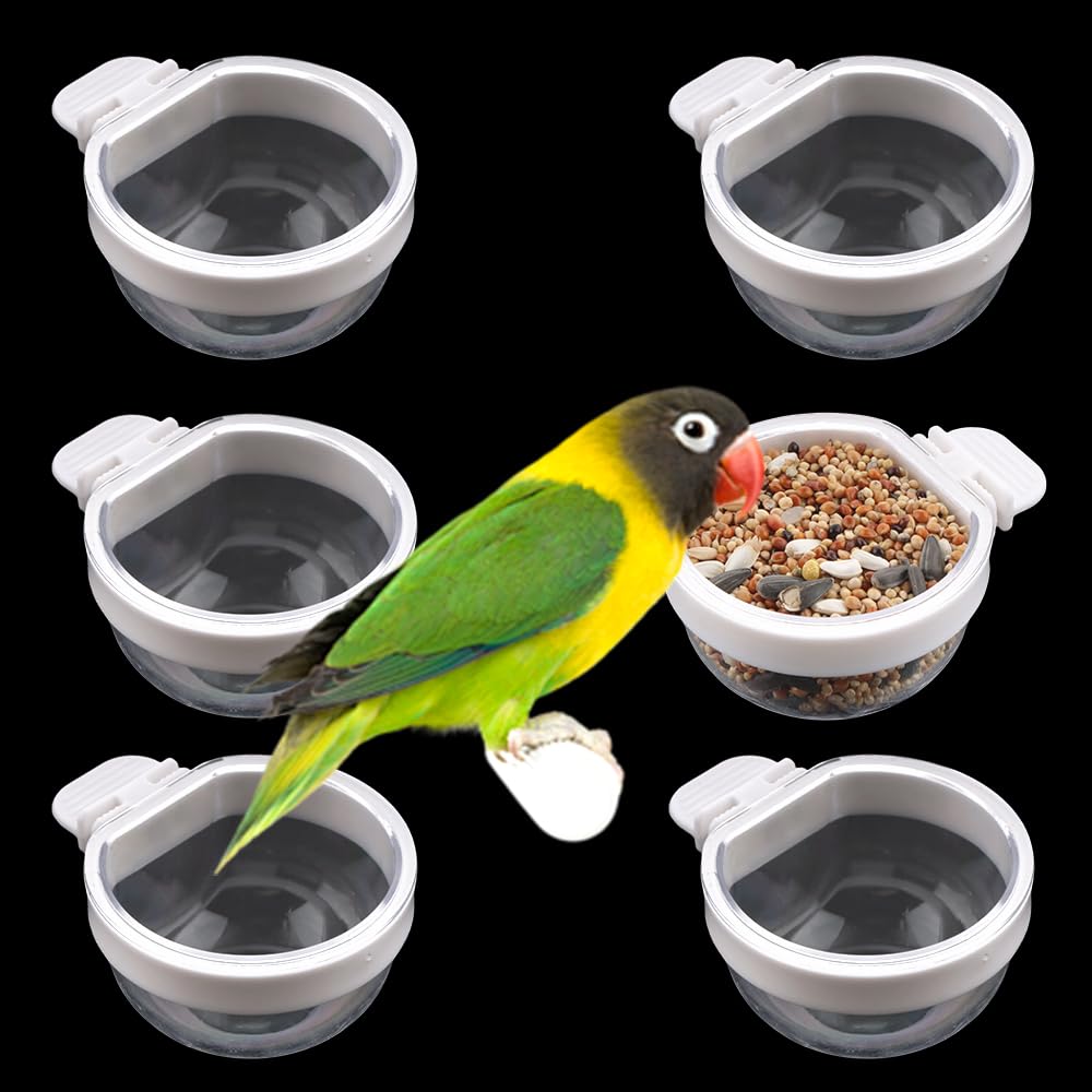 DQITJ seis tazones transparentes para aves, conjunto práctico para jaula
