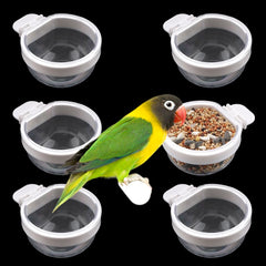 DQITJ seis tazones transparentes para aves, conjunto práctico para jaula