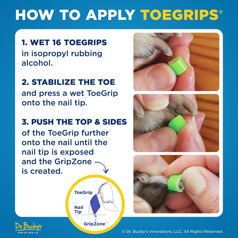 ToeGrips XL para perros mayores brindando seguridad al caminar.