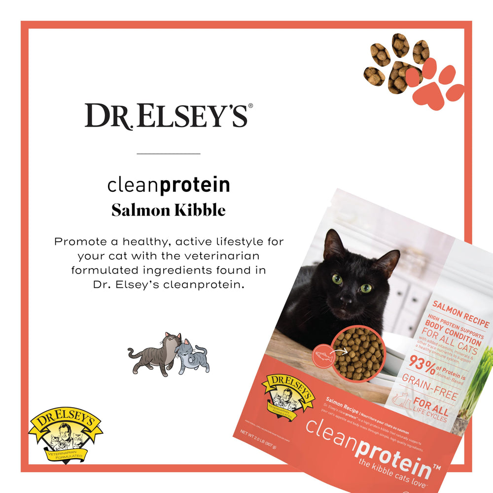 Gato comiendo con entusiasmo la fórmula Salmon de Dr. Elsey's Cleanprotein durante la hora de la comida.