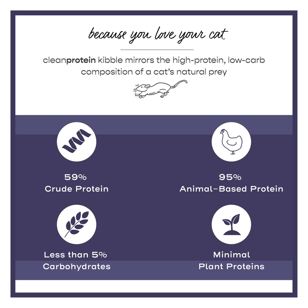 Dr. Elsey's Cleanprotein favorece una vida activa en gatos.