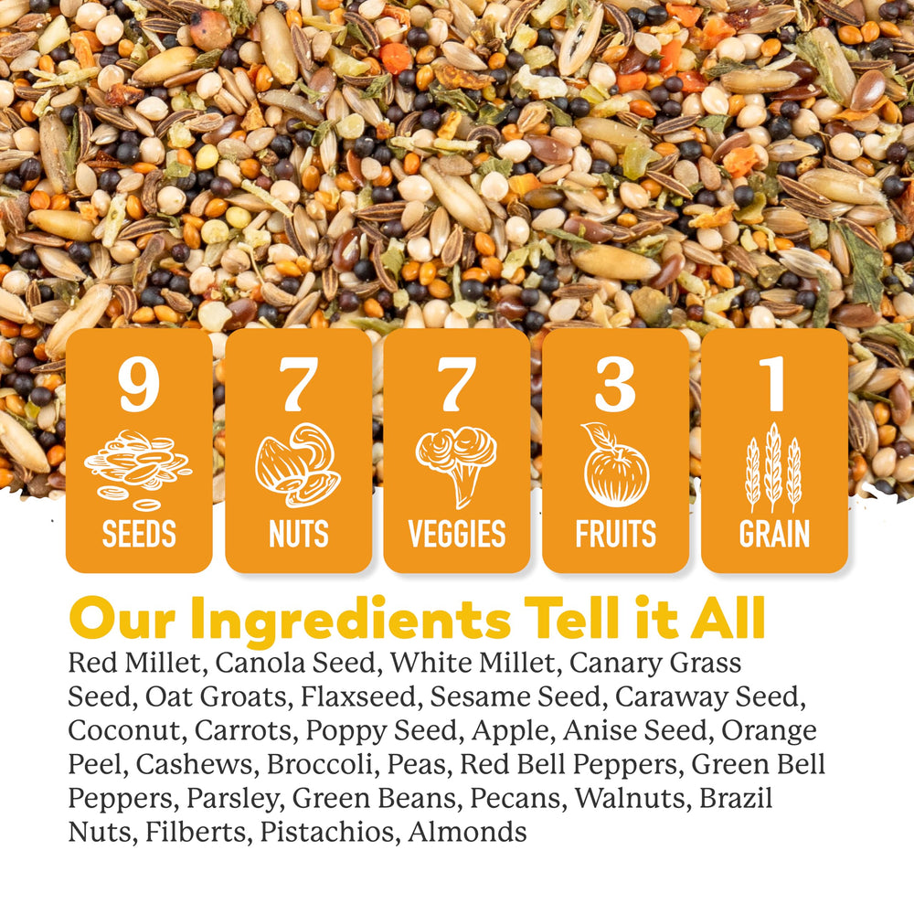 Dr. Harvey's canario: nueces y semillas para energía diaria.