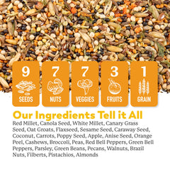 Dr. Harvey's canario: nueces y semillas para energía diaria.