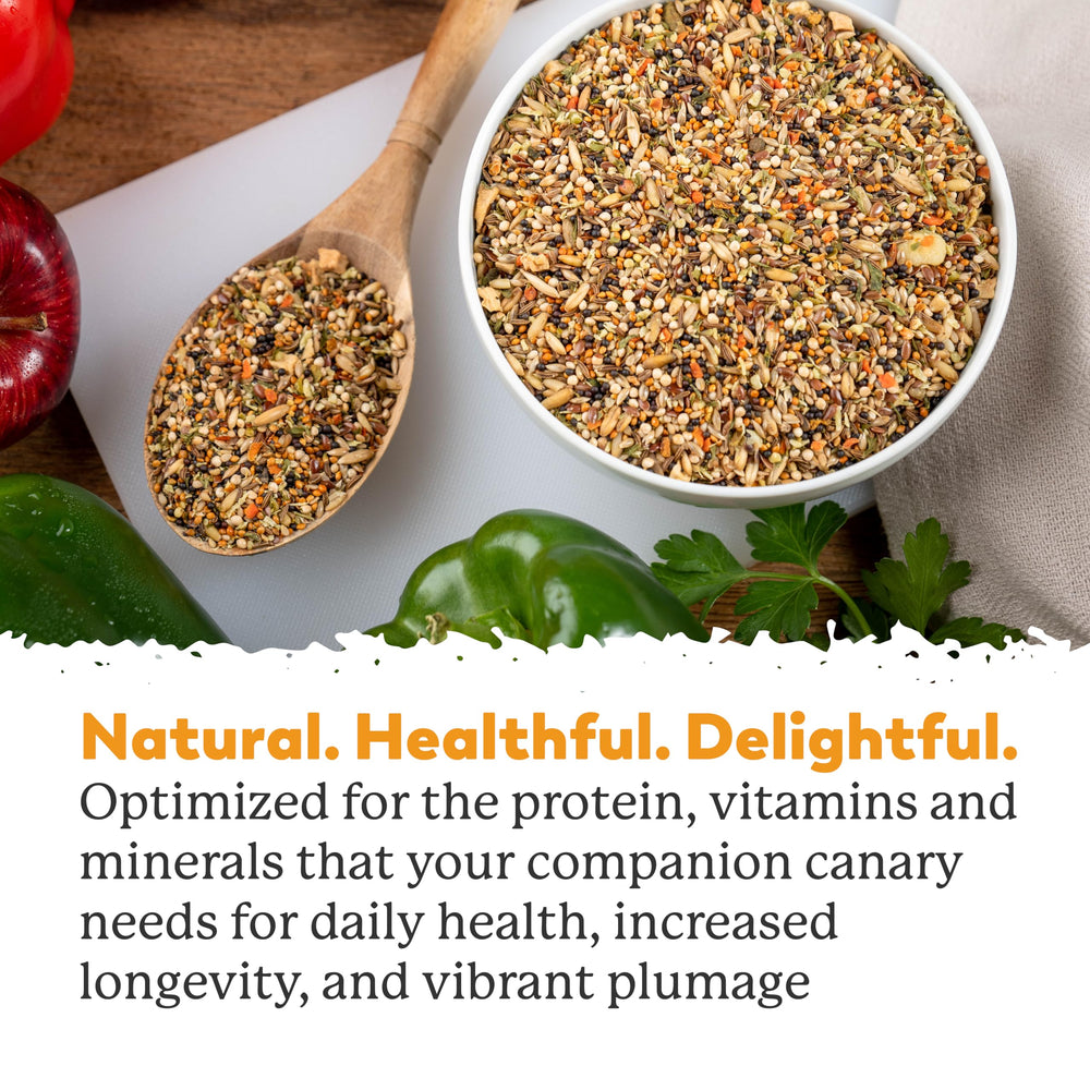 Dr. Harvey's canario: mezcla balanceada con proteína y fibra para plumaje sano.