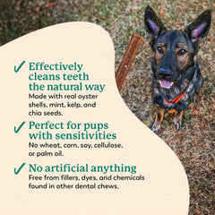 Dr. Harvey's Holistix Dental Chews: batata dulce y menta para gusto agradable.