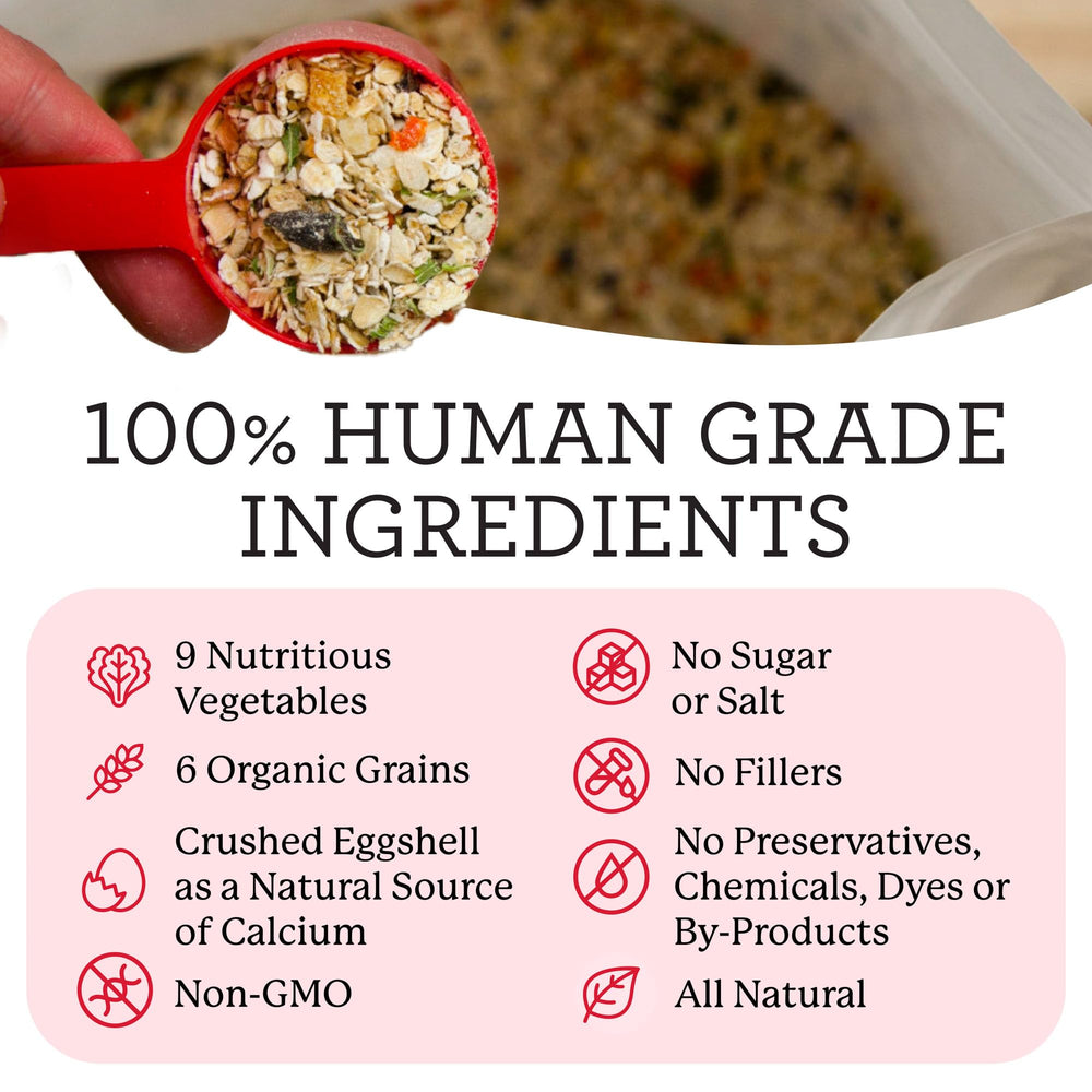 Dr. Harvey's Milagro Salud Canina: granos orgánicos 6 para dieta equilibrada