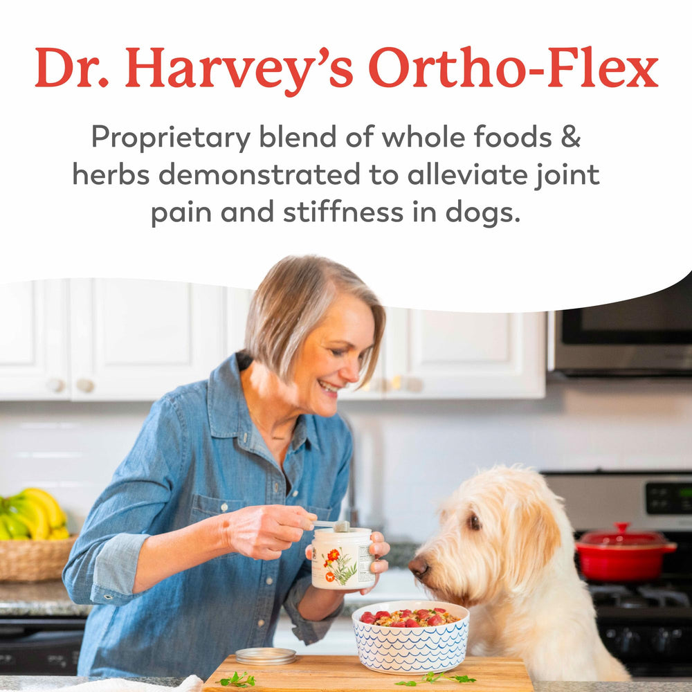 Dr. Harvey's Ortho-Flex pastillas para perros que apoyan la movilidad diaria.