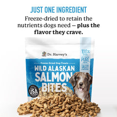 Dr. Harvey's Salmon Bites: trozos de salmón crujientes para entrenamiento canino.