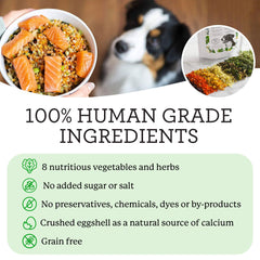 Dr. Harvey's Veg-to-Bowl: mezcla sin granos y sin colorantes para perros sensibles.