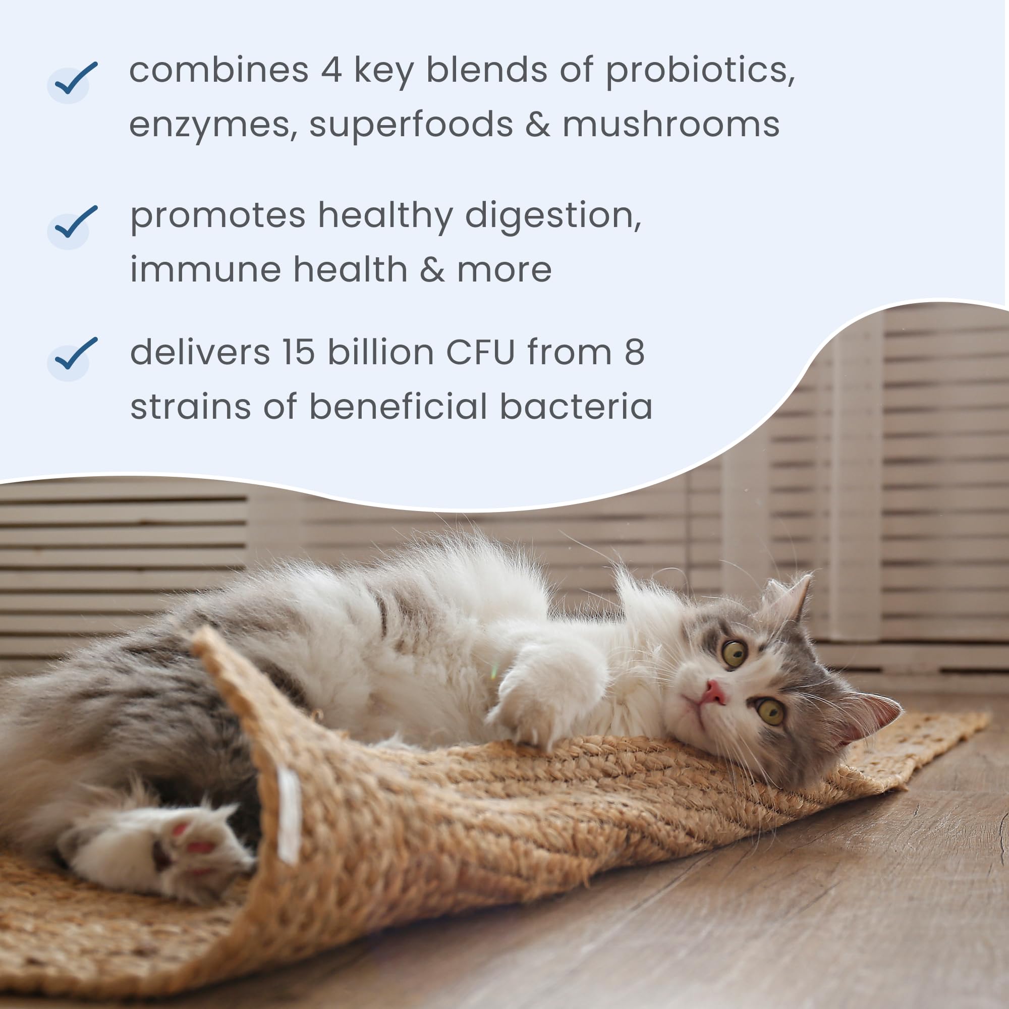 Dr. Mercola Bark & Whiskers Probióticos y Enzimas: mezcla fácil en comida para mascotas