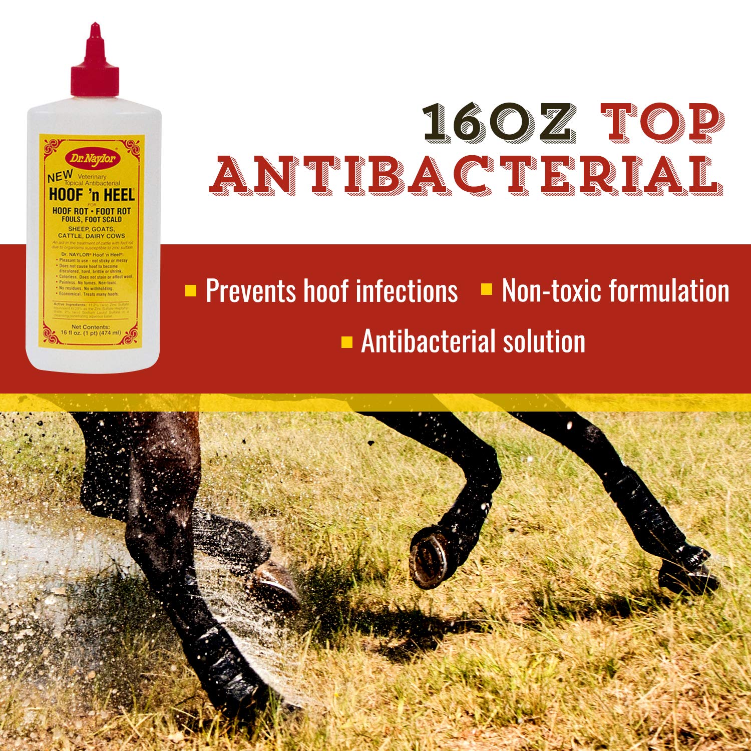 Dr. Naylor Hoof 'N Heal, penetración profunda en pezuñas para pododermatitis