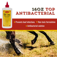 Dr. Naylor Hoof 'N Heal, penetración profunda en pezuñas para pododermatitis