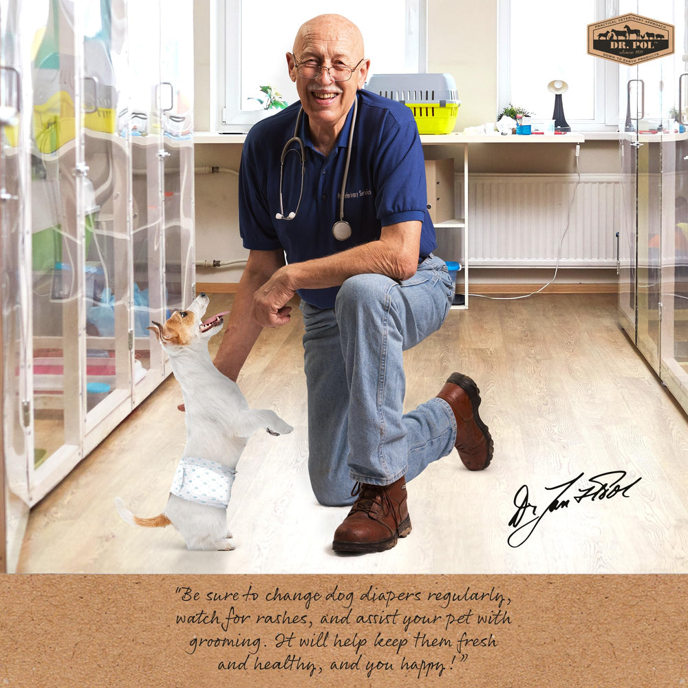 Pañales Dr. Pol para perros machos con cierre ajustable para un ajuste perfecto.