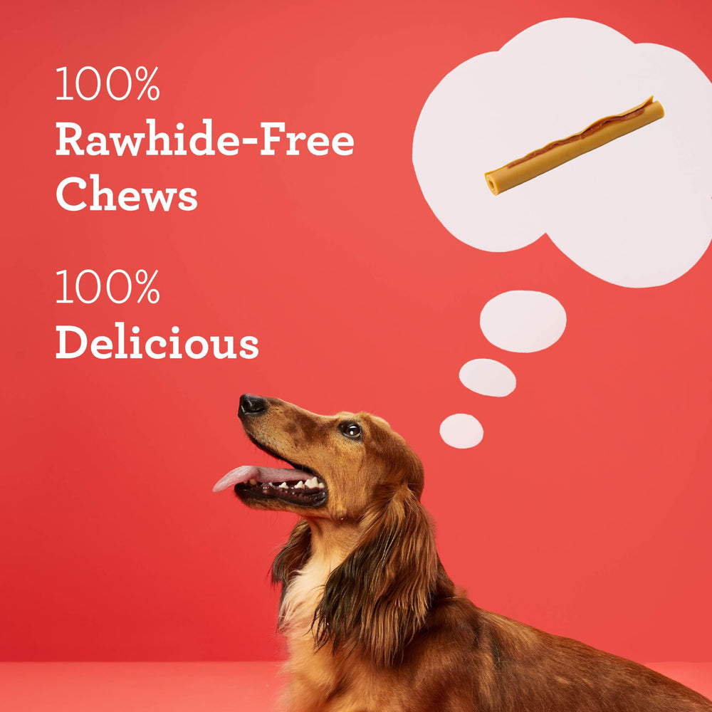 DreamBone DreamSticks formas divertidas para perros que disfrutan masticar