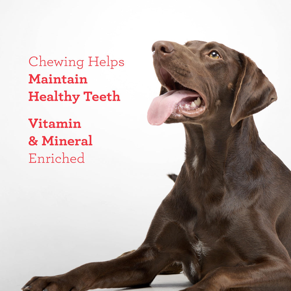 DreamBone Twisties sabor ternera, opción atractiva para perros activos durante el día